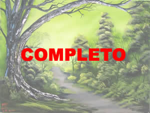 Limite da floresta